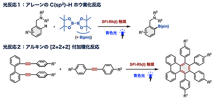 図3 開発に成功した光反応群 