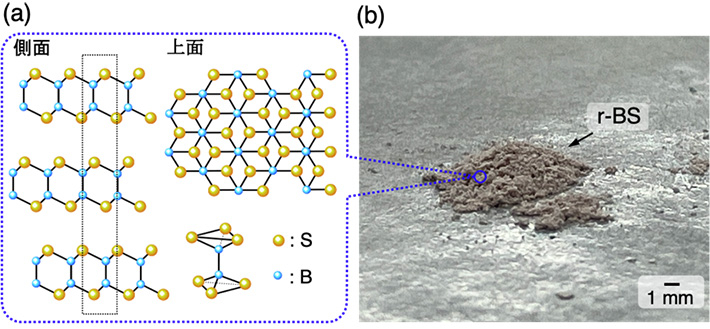図1 （a）r-BSの結晶構造および（b）微小粉状結晶r-BSの写真。 