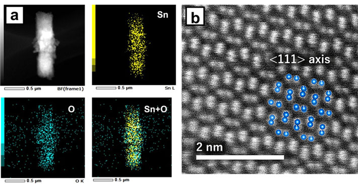 図3 溶液占有率80%で合成した物質のEDSマッピング像（a）と、原子分解能の高角度環状暗視野STEM像（b） 