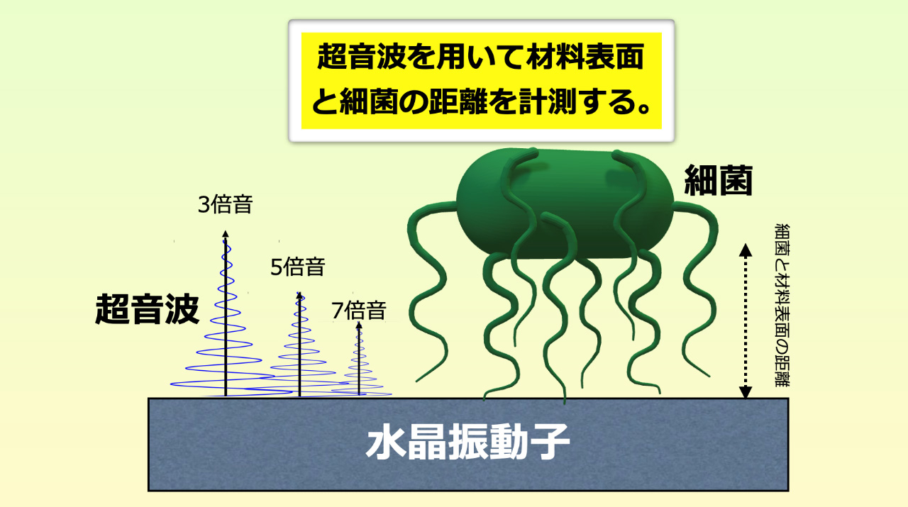 さま　理科 超音波を用いて細菌の付着形態を3次元的にナノスケール可視化 抗菌材料