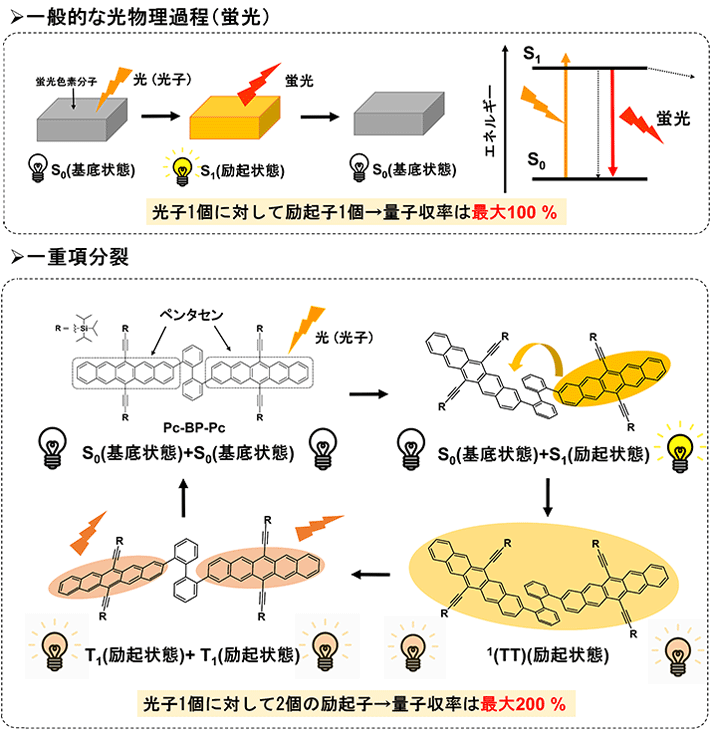 図1 一重項分裂の概要 