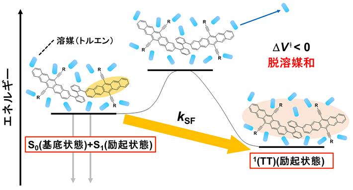 図2 TT生成過程における静水圧効果 