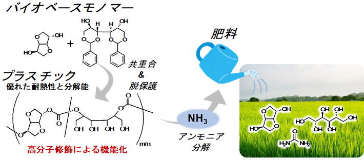 図1 研究概要図 