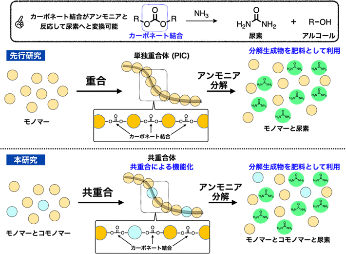 図2 先行研究と本研究 