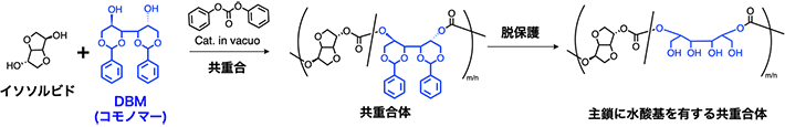 図3 共重合体の合成と脱保護による水酸基の導入 