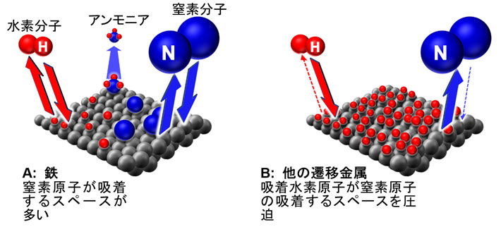 図2 遷移金属表面でのアンモニア生成 