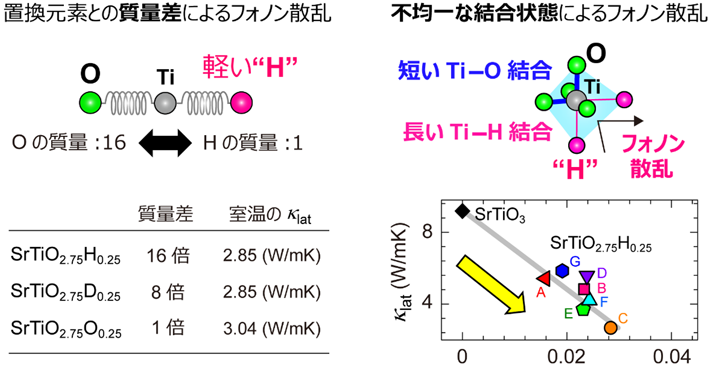 図3. （左）SrTiO2.75H0.25モデルの水素Hを重水素Dと酸素Oの質量で置き換えた場合における格子熱伝導率（κlat）。（右）水素の配置が異なるSrTiO2.75H0.25構造モデルA～Gにおける、室温のκlatとTi－(O,H)結合距離の偏差の関係。