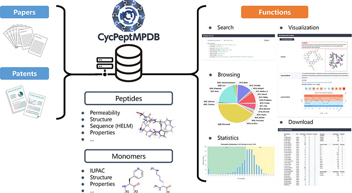 図1 CycPeptMPDBデータベースの構成 