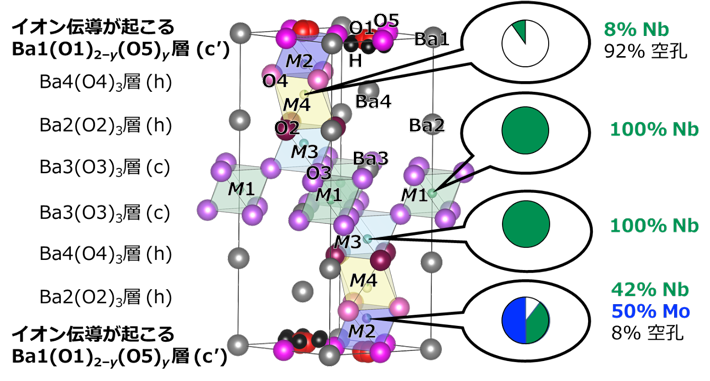図4. 本研究で明らかにしたBa7Nb4MoO20·0.15 H2Oの完全な結晶構造。Mo原子がM2席のみに存在しており、他のM1、M3およびM4席にはMo原子が存在せずNb原子のみが存在している。このことはMoとNb原子の化学的規則性を示している。イオン伝導が起こるBa1(O1)2-y(O5)y層はBaとO原子が最密充填した本質的な酸素欠損（c'）層である。Ba1、Ba2、Ba3は3種類の結晶学的な席を占有するBa原子を示す。O1、O2、O3、O4、O5は5種類の結晶学的な席を占有する酸素O原子を示す。yはO5の占有率を示す。