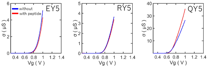 3種類のペプチドそれぞれを表面修飾したMoS2電気化学トランジスタのゲート電圧応答特性。縦軸はトランジスタの電気伝導度（σ）、横軸はゲート電圧（Vg）。青線はペプチド修飾前、赤線がペプチド修飾後を示す。