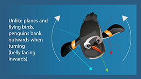 Penguin Physics: Understanding the Mechanisms of Underwater Turning Maneuvers in Penguins