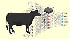 Helpful disturbance: how non-linear dynamics can augment edge sensor time series