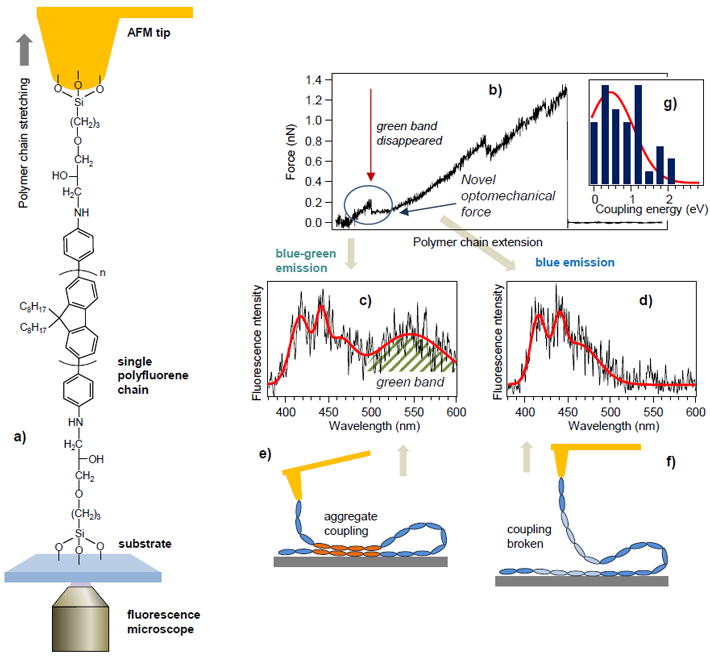 図1 ポリフルオレンの一本鎖における力と蛍光の同時測定実験 