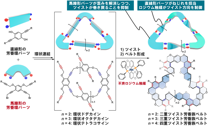 図2. 不斉ロジウム触媒で直線形と馬蹄形の芳香環パーツを組み立てて、多重ツイスト芳香族ベルトをつくるための合成戦略