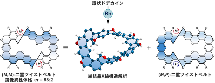 図3 二重ツイスト芳香族ベルトの合成と結晶構造 