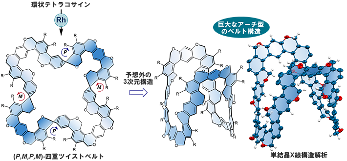 図5 四重ツイスト芳香族ベルトの合成と結構構造 