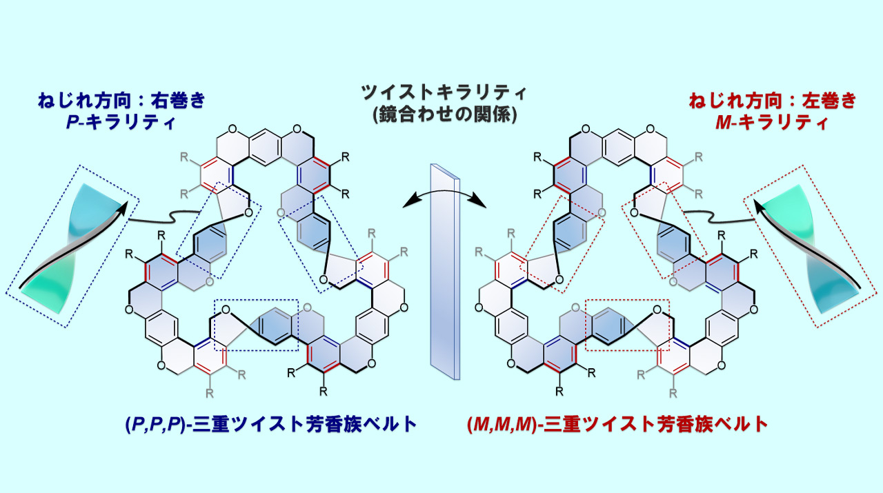 複数のねじれを持つ芳香族ベルト分子の合成に成功