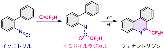 図2 イソニトリルからイミドイルラジカルを経由するフェナントリジンの合成 