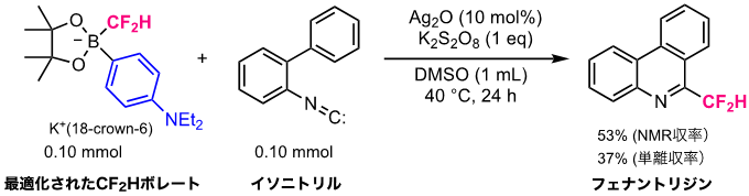 図4 CF2Hボレートの酸化反応を利用する6-（ジフルオロメチル）フェナントリジンの合成 
