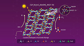 Novel Tin-Based Meta–Organic Frameworks for Reducing Carbon Dioxide to Formate