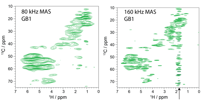 図3 モデルタンパク質GB1試料の固体NMR測定結果 固体状態（微結晶状態）のGB1タンパク質（56アミノ酸）に対して、80 kHz（左）、160 kHz（右）の回転速度のMASで得られた1H-13C 2次元NMRスペクトル。試料は有機溶媒を含んだ微量の水溶液に浸されており、溶液内のタンパク質と同等な構造が固体状態で保持されている。スペクトルは、タンパク質の主鎖を構成する13Cαとそれに結合する1Hαの化学シフトを紐づけており、これによって両者の帰属を明確にできる。一般的に、固体NMRの1Hスペクトルは線幅が数十ppmを超える非常に幅広なスペクトルとなるが、本実験では、直径0.4 mmの細径試料管に詰めた固体試料を毎秒16万回転させることで線幅を大幅に細くし、溶液NMRスペクトルに近いスペクトルを得ている（右）。右側の矢印の帯状のピークは、溶媒信号の消え残りである。