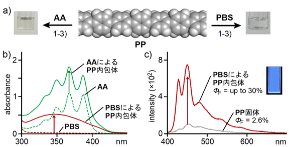図3 （a）AAまたはPBSによるPPの水溶化と（b）それらのUV-visスペクトル（r.t., H2O）。 （c）PP内包体の水中とPP固体の発光スペクトル（λex. = 370 nm）。 