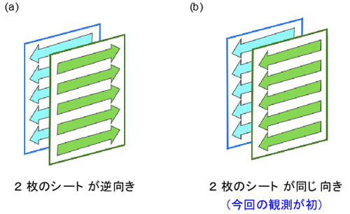 図3 βシートが張り合わさる様式 