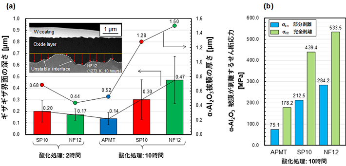 図3 （a）α-Al2O3被膜の成長とギザギザな界面構造の深さの関係、（b）α-Al2O3被膜を剥離させるために必要なせん断応力 