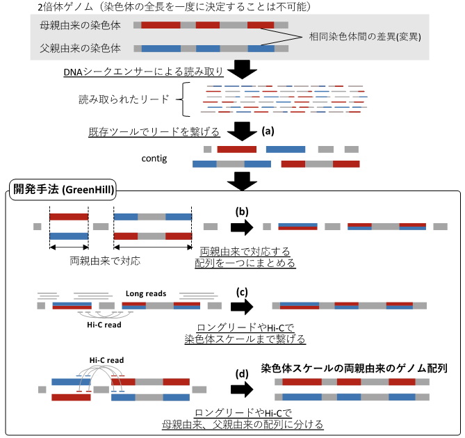 新たな情報解析プログラム「GreenHill」のアルゴリズムの模式図