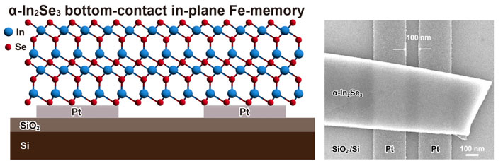図1. ボトムコンタクト型2次元強誘電半導体α-In2Se3メモリの断面構造（左）と、メモリ素子 のSEM像（右）