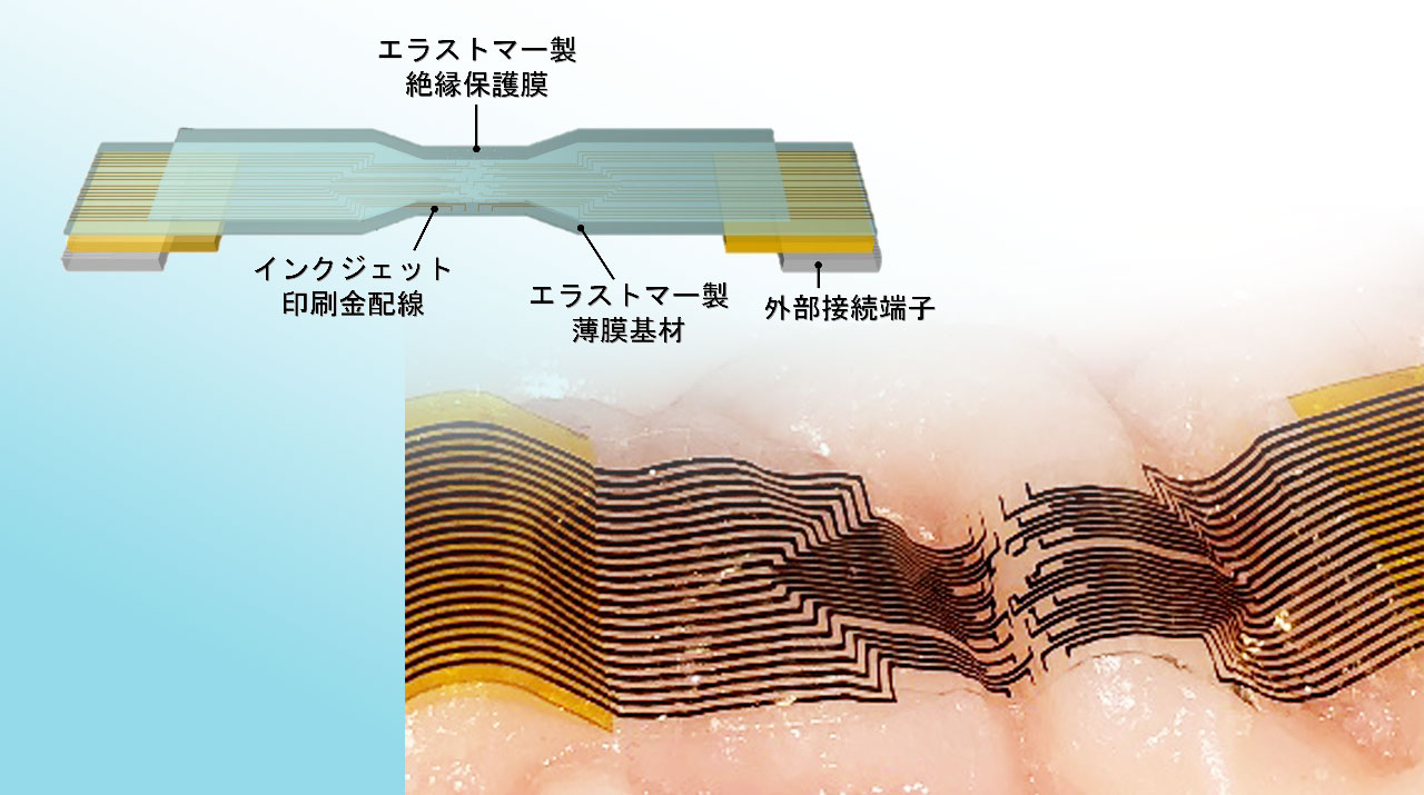 ラップのように脳を優しく密に覆える薄膜電極を開発