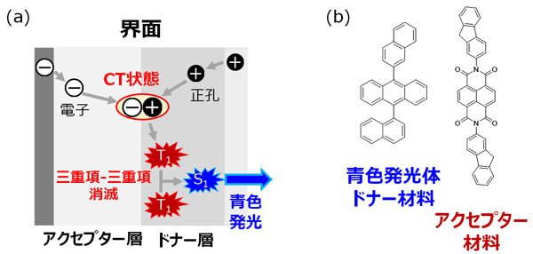 図1 （a）界面を使った独自の発光原理 （b）青色発光体ドナー分子（アントラセン誘導体）、アクセプター分子（ナフタレンジイミド誘導体）の構造。 