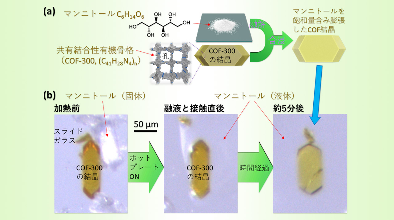 糖を共有結合性有機骨格に導入し、従来の過冷却問題を解決した150℃付近廃熱用の固体蓄熱材を創出