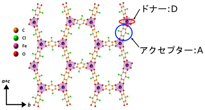 図1. (NPr4)2[Fe2(Cl2An)3]結晶中の鉄イオンと有機分子の2次元ネットワーク構造。