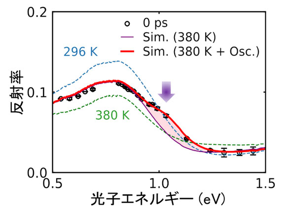 図3. 電荷移動遷移のエネルギー域での反射率スペクトル。ポンププローブ型時間分解分光で測定した光照射直後のスペクトル（丸）と、定常状態の低温相（296 K、水色破線）、高温相（380 K、緑色破線）のスペクトル、及び光誘起状態として高温相を仮定した場合（紫色細実線）と光誘起状態のみ観測される新しい光学遷移が現れると仮定した場合（赤色太実線）の計算によるシミュレーション結果。新しい光学遷移が現れると仮定した場合が実験結果を良く再現する。