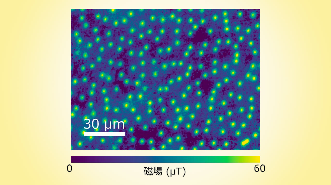 量子の渦、数えます！