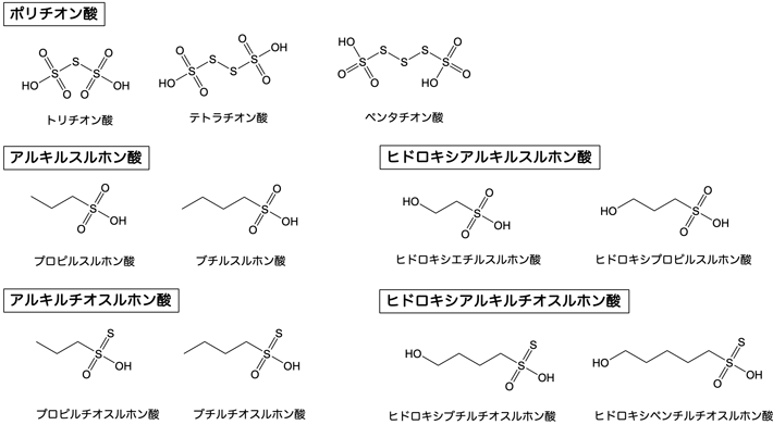 図5. 小惑星リュウグウサンプルの熱水抽出画分から新たに発見した有機硫黄分子群の構造。イオンクロマトグラフィー／高分解能質量分析法で同定されたポリチオン酸、アルキルスルホン酸、アルキルチオスルホン酸、ヒドロキシキルスルホン酸、ヒドロキシアルキルチオスルホン酸のうち、いくつかの代表的な構造を示した。イオン性有機物群からの新規化合物探索の開発は、海洋研究開発機構とサーモフィッシャーサイエンティフィック ジャパングループの共同研究として実施した。