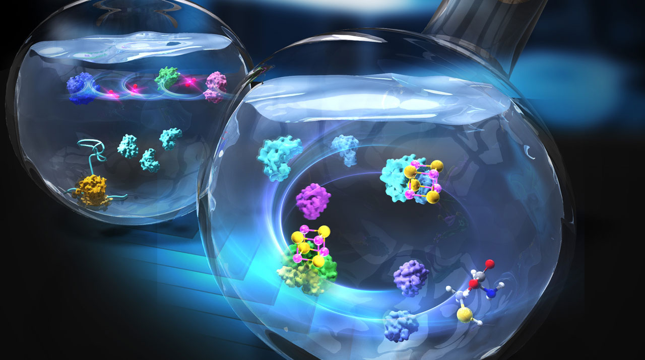 Efficient Synthesis of Iron-Sulfur Proteins In Vitro: Implications for Biotechnology and Enzyme Development