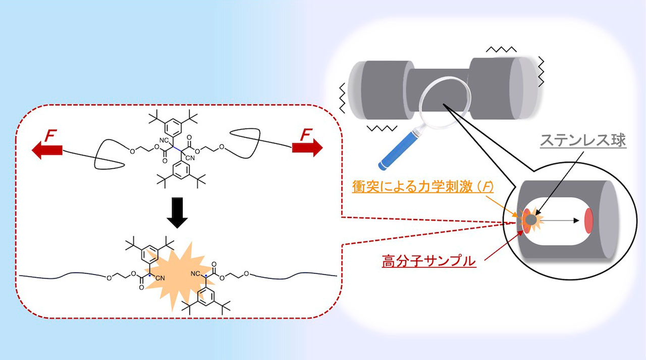 熱に強いが力で切断される分子の合理的設計方法を開発 経験と勘