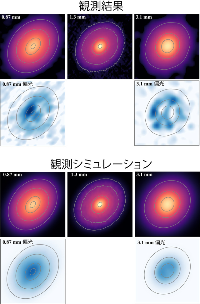 図2（上）アルマ望遠鏡で観測したおうし座DG 星円盤の波長0.87 mm, 1.3 mm, 3.1 mmの電波強度マップおよび波長0.87 mm, 3.1 mmにおけるダストにより散乱される電波の偏光強度マップ。（下）上の観測結果と最もよく一致した場合の観測シミュレーション。Credit: ALMA (ESO/NAOJ/NRAO), S. Ohashi et al.