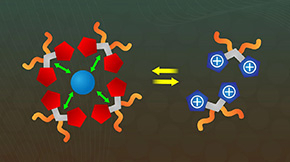 A First for Ferrocene: Organometallic Capsule with Unusual Charge-Transfer Interactions