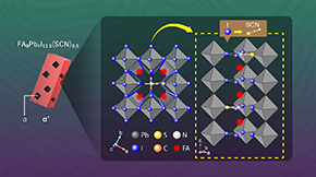 New Insight for Stabilizing Halide Perovskite via Thiocyanate Substitution