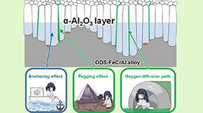 α-Al2O3 Protective Layer That Sticks to Metal Surface with Functions of an Anchor and Peg