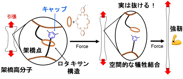 図1 研究概要図 