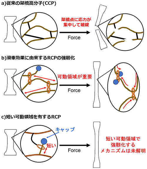 図2 先行研究 