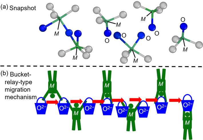 図1 （a）第一原理分子動力学シミュレーションにより得られたBa7Nb3.8Mo1.2O20.1のスナップショット。酸素欠損層上の酸素原子（青い球）が、二量体の消滅により隣の青い球を押し出して移動する。（b）この移動機構を模式的に表したバケツリレーの図。 青い球とバケツは酸素欠損層の酸素原子、灰色の球は六方最密充填層の酸素原子、緑色の球と人はM原子を示す。ここでMはNb/Moであり、Nb原子またはMo原子を表す。©Authors and American Chemical Society (2023).