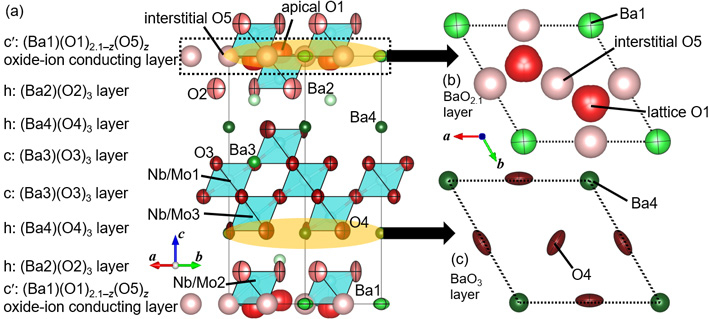 図3 (a) 800℃でその場測定した中性子回折データの構造解析により精密化したBa7Nb3.8Mo1.2O20.1の結晶構造。（a）のc' : (Ba1)(O1)2.1‒z(O5)zと（b）は酸化物イオンが伝導する酸素欠損層であり、赤い球のO1は格子酸素、薄いピンク色の球であるO5は格子間酸素である。ここでzはO5の酸素量を表す。（a）の六方最密充填層の一つh: (Ba4)(O4)3を（c）に示す。