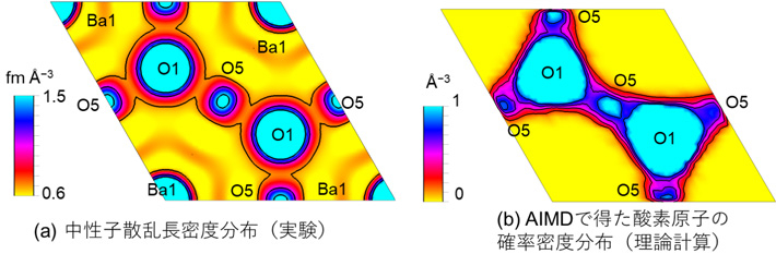 図4 （a）800℃でその場測定したBa7Nb3.8Mo1.2O20.1の中性子回折データのMEM解析により得られた、c' 酸化物イオン伝導層（図3bに対応）における中性子散乱長密度分布。（b）AIMDシミュレーションで得られたBa7Nb3.8Mo1.2O20.1のc' 酸化物イオン伝導層（図3b, 4aに対応）における酸素原子の確率密度分布。©Authors and American Chemical Society (2023).