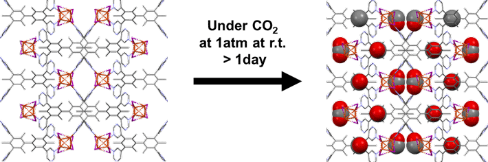 図4 単結晶X線構造解析によるCO2吸着前後の構造 