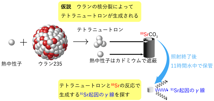 図1 原子炉を用いたテトラニュートロン探索手法の概念図。 